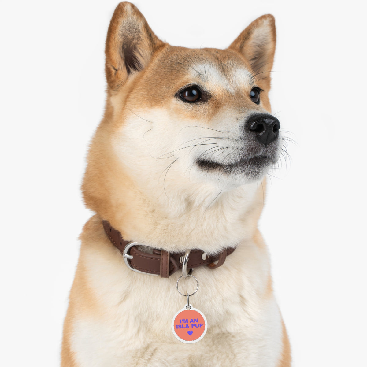 Pet Tag — “I’m an Isla Pup” Personalized Dog ID Tag